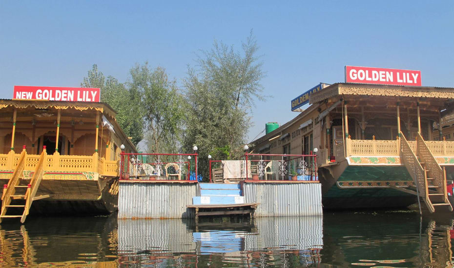 Golden Lily Group Of Houseboat Srinagar